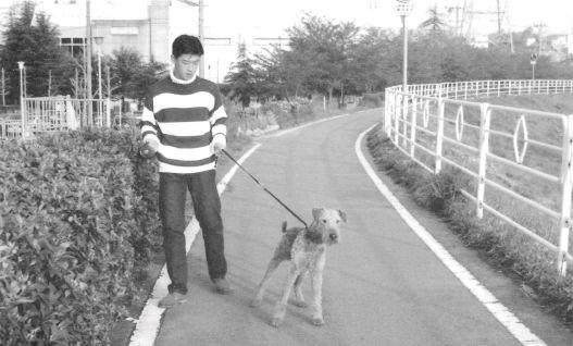 毎日の散歩が楽しくなります！