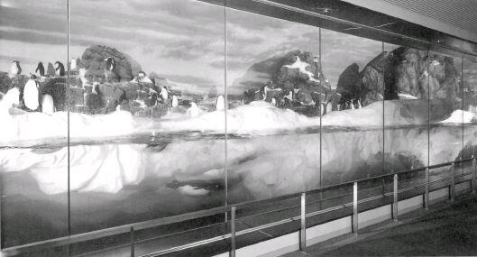 水族館の水をきれいに、健やかに　ライフサポートシステム